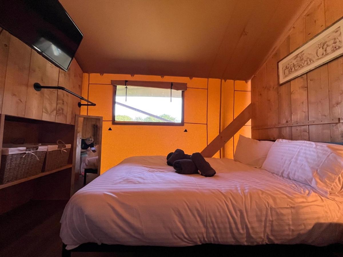 Aladdin Safari Tent Tenby Zewnętrze zdjęcie